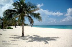 Beach Beach